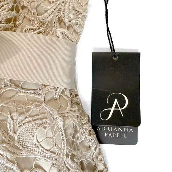 Adrianna Papell Lace Cap Sleeve Illusion Gown - Picture 6 of 10